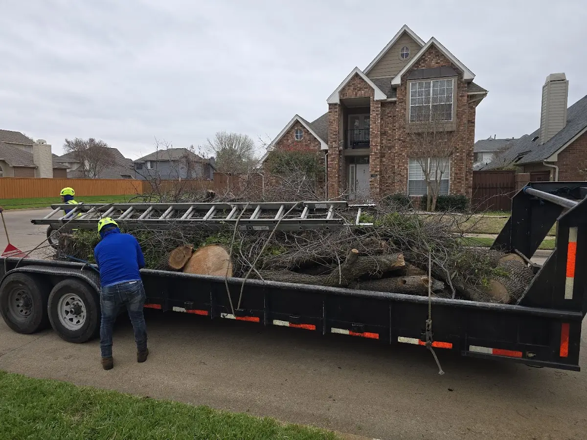 Expert Crown Reduction with proper safety equipment in Lake Charles